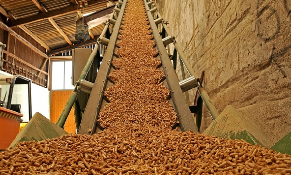 Sản xuất và xuất khẩu viên nén gỗ: Doanh nghiệp đang “lấy đá ghè chân mình…”