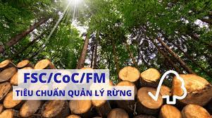 Triển khai áp dụng tiêu chuẩn FSC CoC tại Công ty chế biến gỗ
