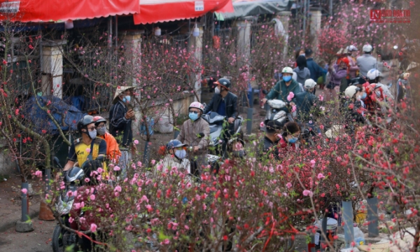 Hà Nội tổ chức 78 điểm chợ hoa Xuân phục vụ Tết Nhâm Dần 2022