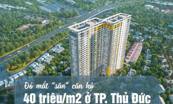 Đỏ mắt “săn” căn hộ 40 triệu/m2 ở TP. Thủ Đức