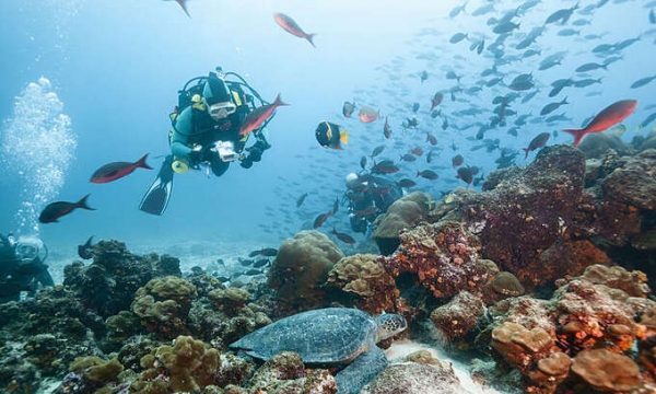 Tiêu chuẩn cho ngành lặn giúp thúc đẩy du lịch bền vững
