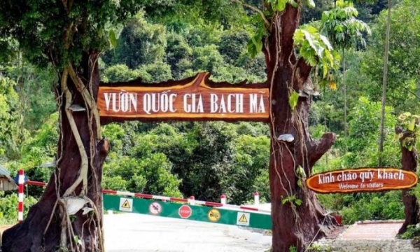 Việt Nam có thêm 2 vườn quốc gia được đề cử 'Vườn Di sản ASEAN'