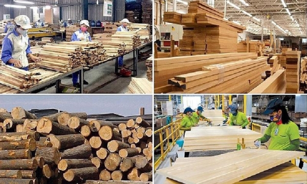 Ngành gỗ gặp khó trong khâu hoàn thuế, nhiều doanh nghiệp dừng xuất khẩu