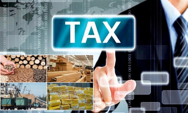 Nhiều doanh nghiệp đã có hành vi trục lợi chính sách thuế