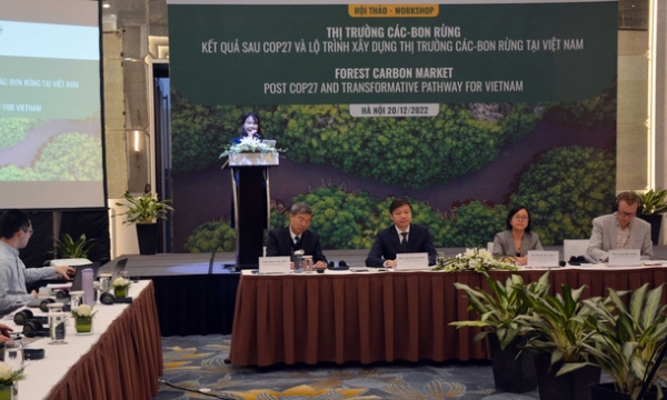 Thương mại carbon rừng thêm hướng phát triển kinh tế lâm nghiệp