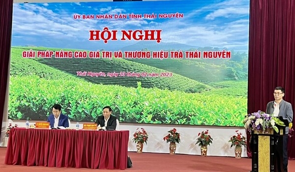 Hội nghị bàn giải pháp nâng cao giá trị và thương hiệu chè Thái Nguyên