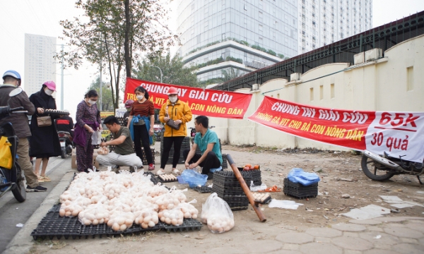 Hiệp hội gia cầm Việt Nam đề nghị không tiêu thụ gia cầm bán 'giải cứu'
