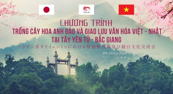 Bắc Giang: Tổ chức trồng cây hoa Anh đào và kết nối văn hóa Việt - Nhật Bản tại Tây Yên Tử