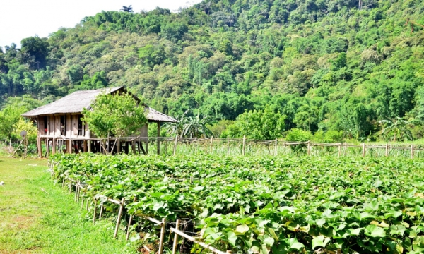 Tân Lạc (Hòa Bình) phát triển nông nghiệp gắn với du lịch
