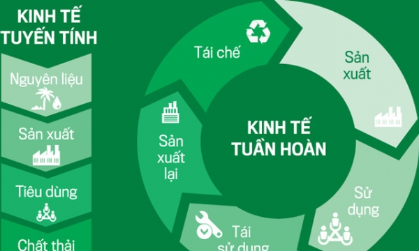 Xây dựng khung thử nghiệm phát triển kinh tế tuần hoàn tại Việt Nam