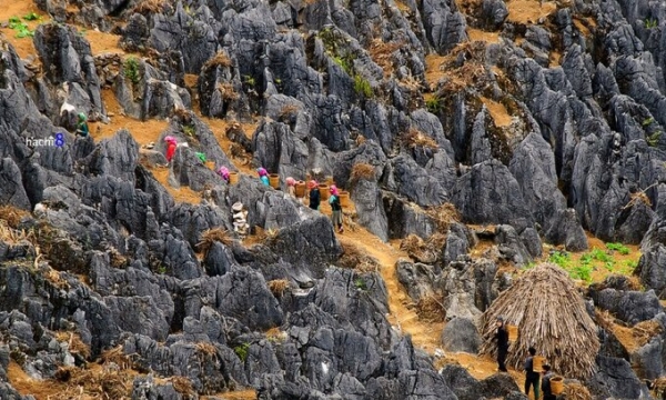 Cao nguyên đá Đồng Văn - điểm đến đặc biệt hấp dẫn ở Hà Giang