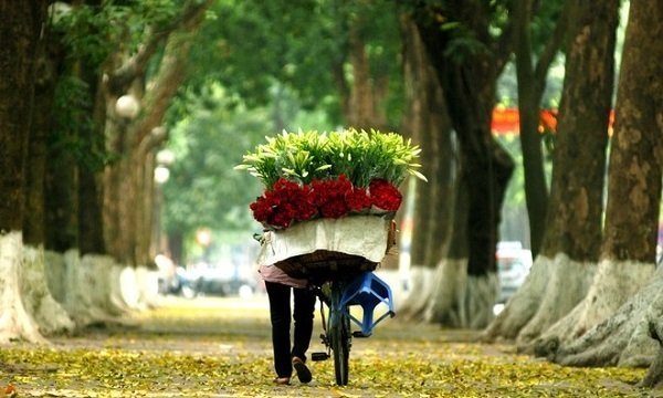 Những điểm du lịch đẹp nhất vào mùa thu ở Việt Nam