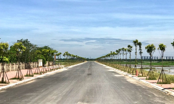 Hà Nội phê duyệt chỉ giới đường đỏ tuyến đường 4 làn xe tại huyện Thanh Trì