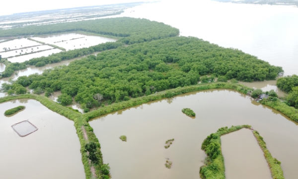 Thái Bình lên phương án đưa khu bảo tồn thiên nhiên 12.500ha về đúng tên gọi