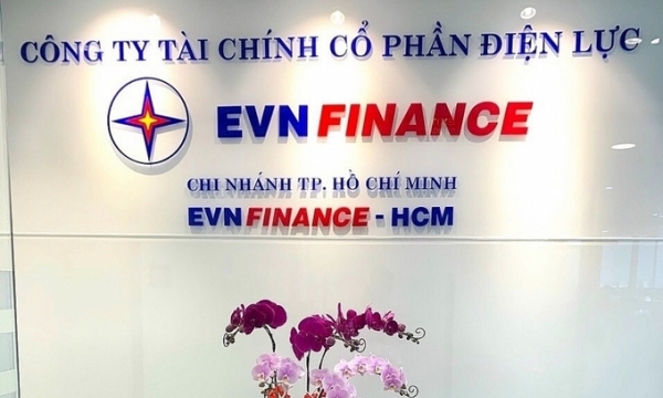 EVNFinance chào bán 351 triệu cổ phiếu cho cổ đông giá 11.000 đồng/cổ phiếu