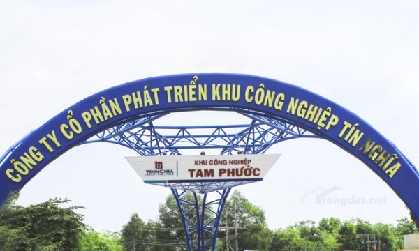 KCN Tín Nghĩa chưa thu được lãi từ hợp tác ngàn tỷ đồng với Cảng Phước An