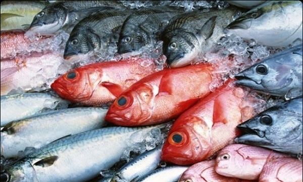 Người sau 50 tuổi nên hạn chế ăn 3 loại cá này: Chứa chất gây ung thư, gây ngộ độc, dị ứng