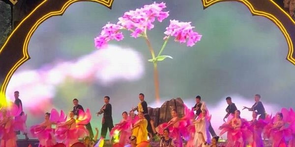 Hà Giang sẵn sàng cho Lễ hội hoa Tam giác mạch lần thứ IX tại Đồng Văn