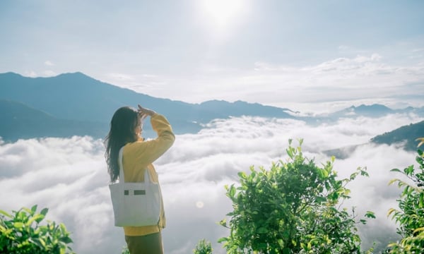 3 địa điểm săn mây tuyệt đẹp tại Việt Nam “chữa lành” cho người trẻ sau những bộn bề cuộc sống