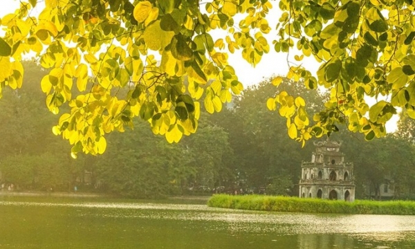 Đắm chìm vào 'mùa hoa đẹp nhất' trong lòng thành phố Việt Nam vừa lọt top nơi đáng sống nhất thế giới