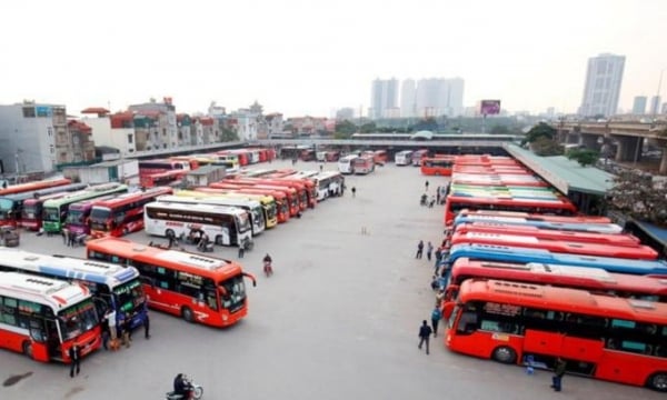 Sẽ kiểm tra hàng loạt doanh nghiệp vận tải tại Hà Nội