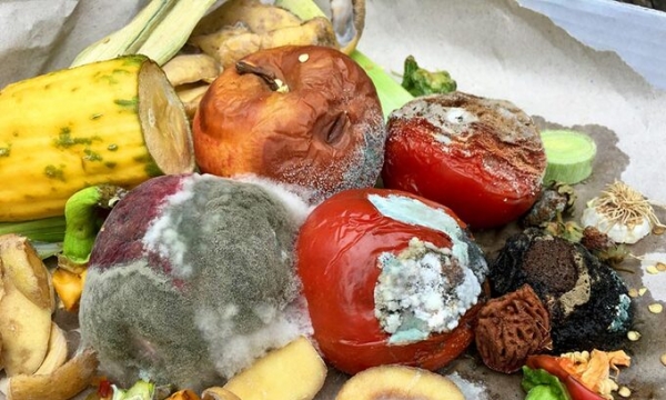 Ăn nhiều 3 thứ rau này chẳng khác nào tự “đầu độc” gan, loại rau thứ 2 là món khoái khẩu của nhiều người Việt