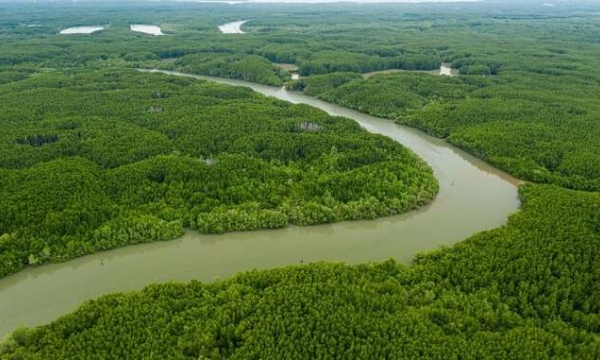 Bên trong khu Dự trữ sinh quyển thế giới rộng 75.000ha đầu tiên tại Việt Nam, hình thành trên châu thổ của dòng sông nội địa dài nhất cả nước