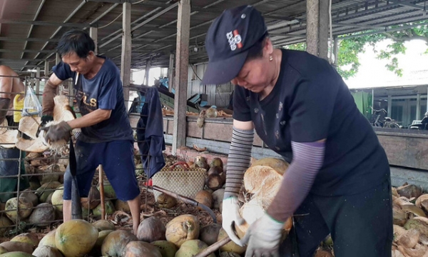 Loại quả 'chất lượng nhất thế giới' của Việt Nam được Mỹ, Trung Quốc xếp hàng săn đón, là 'quả vàng, quả bạc' rất tốt cho tim, da và giảm cân