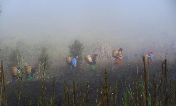 Miền Bắc Việt Nam có 'làng địa ngục' ở độ cao 2.000m: Mờ ảo trong mây, không điện, không nước, sóng điện thoại