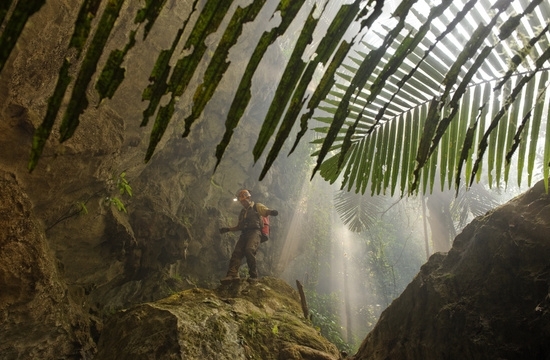 Khám phá hang động hàng triệu năm tuổi lớn nhất thế giới tại Việt Nam, bên trong cả một khu rừng nhiệt đới đang phát triển
