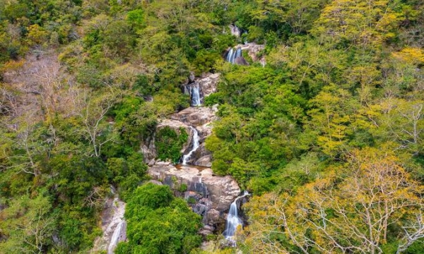 Bên trong khu dự trữ sinh quyển rộng hơn 100.000ha duy nhất Việt Nam có cả rừng, biển và bán sa mạc, được UNESCO công nhận là khu dự trữ sinh quyển thế giới