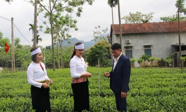 Hà Nội hỗ trợ 13 xã vùng dân tộc thiểu số, miền núi phát triển kinh tế - xã hội