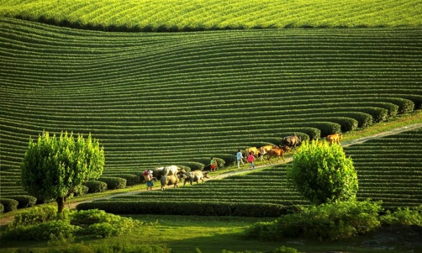 10 điểm đến du lịch Việt Nam được thế giới công nhận trong năm 2023