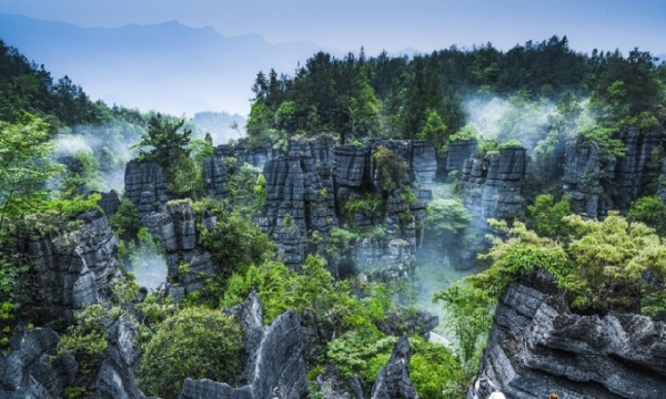 Chiêm ngưỡng khu rừng đá hình thành cách đây 460 triệu năm, rộng 21km2 với cảnh quan hùng vĩ đến ‘ngộp thở’