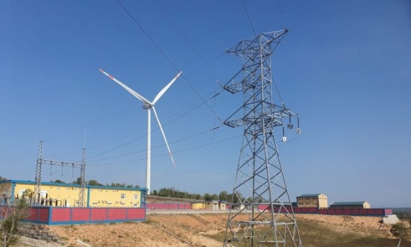 Bình Thuận: Nhiều dự án điện mặt trời vi phạm luật đất đai
