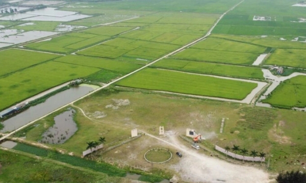 Khu công nghiệp 2.300 tỷ của FLC xây mãi không xong, tỉnh Thanh Hóa quyết định chuyển sang trồng lúa