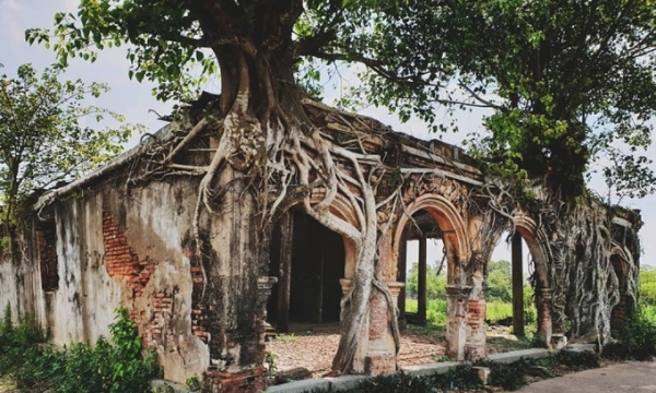 Bí ẩn ngôi đình thiêng nằm trong lòng cây bồ đề ở quê hương bà Hoàng quyền lực nhất triều Nguyễn, trăm năm vẫn nguyên vẹn dù bị bỏ hoang