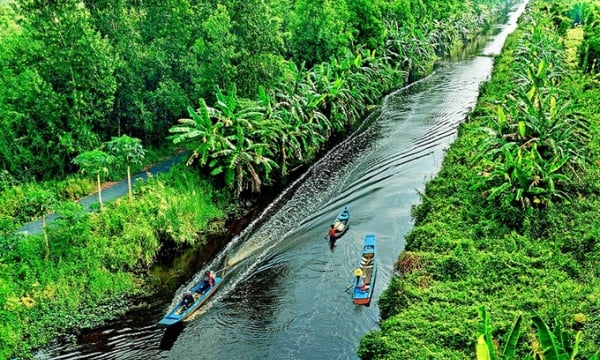 Dòng sông dài hơn 40km cắt đôi khu rừng 2.000km2 của Việt Nam được xếp loại quý hiếm trên thế giới