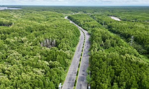 Chiêm ngưỡng con đường 1.400 tỷ xuyên rừng ngập mặn đẹp quên lối về đẩy mạnh kinh tế du lịch TP. HCM