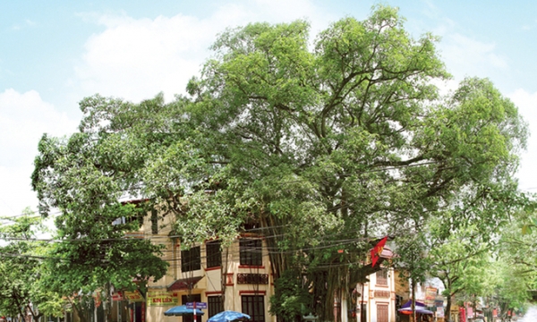 Thị xã 120 tuổi lâu đời nhất Việt Nam, được coi là ‘phố cổ’ của vùng Đất Tổ