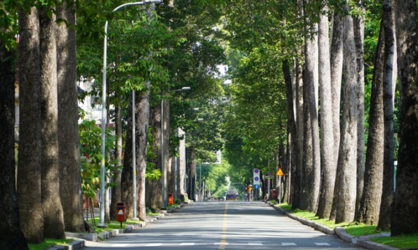 Chuyện về con đường ‘cổ’ bậc nhất Sài Gòn, nay trở thành tuyến đường huyết mạch giữa trung tâm Thành phố