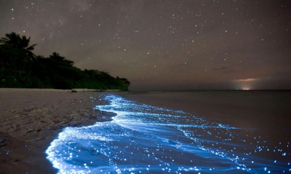 Bãi biển phát sáng như những vì sao giữa 'thiên đường hạ giới' Maldives, khiến du khách như lạc vào vùng trời trong dải ngân hà