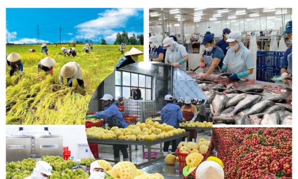 Xuất khẩu nông, lâm, thuỷ sản đạt gần 10 tỷ USD trong 2 tháng đầu năm