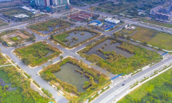 Huyện rộng nhất Hà Nội sắp tổ chức đấu giá hàng trăm nghìn m2 đất nông nghiệp