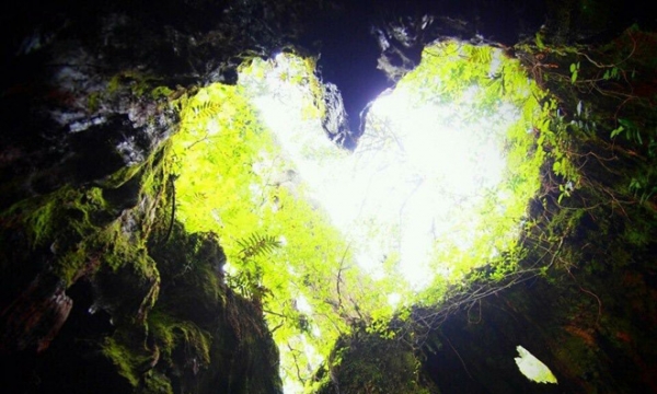 Phát hiện hang động có tạo hình trái tim đẹp như tranh vẽ giữa khu rừng ngàn năm tuổi