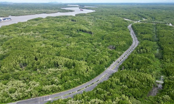 Con đường xuyên rừng đẹp nhất Việt Nam: Kế nối TP. HCM tới khu đô thị lấn biển 217.000 tỷ đồng của 'ông lớn' Vingroup