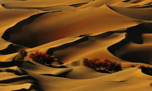 Kho báu vô giá dưới lòng sa mạc lớn thứ hai trên thế giới, giúp Trung Quốc trỗi dậy mạnh mẽ