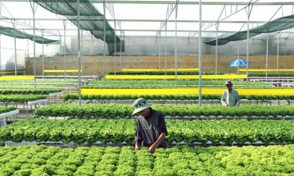 Nông nghiệp bền vững và vấn đề tiêu chuẩn hóa