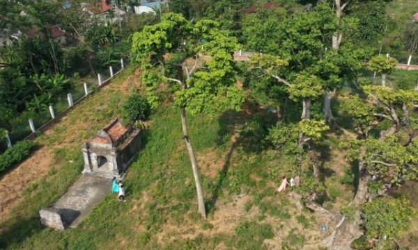 Mở 7 hố thăm dò trên diện tích 80m2 để khai quật khảo cổ tháp đôi 1.000 năm tuổi ở miền Trung Việt Nam