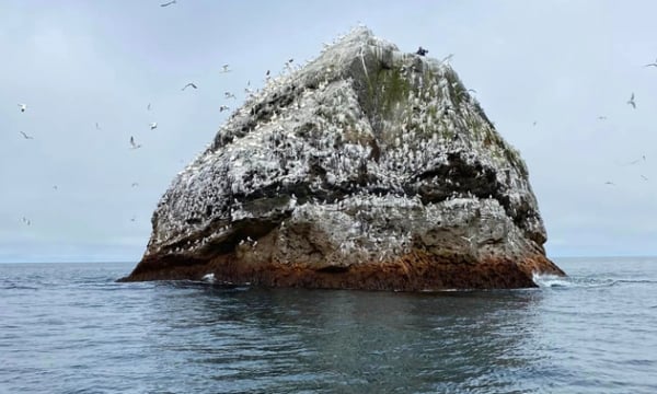 Đảo đá núi lửa nằm giữa đại dương không có nước sạch, đầy rẫy tai nạn bí hiểm nhưng vẫn được 4 quốc gia tranh giành